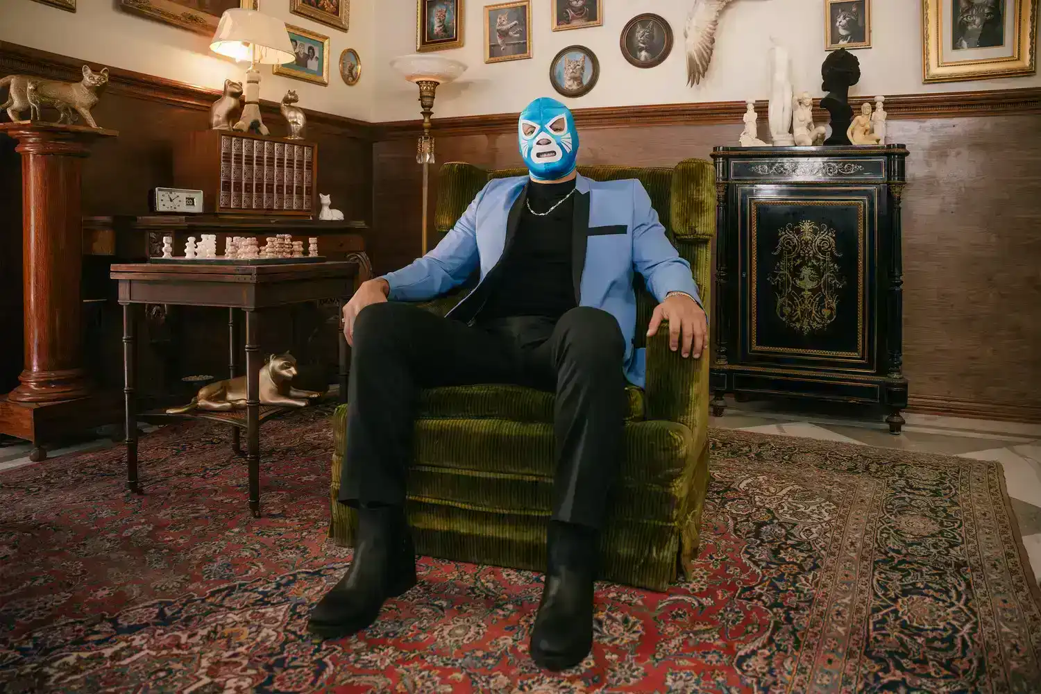 Don Gato sitting in chair